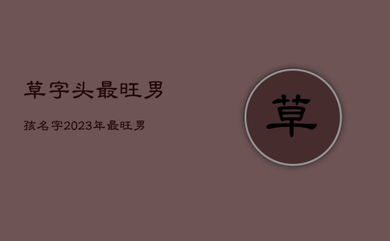 草字头最旺男孩名字，2023年最旺男孩名字