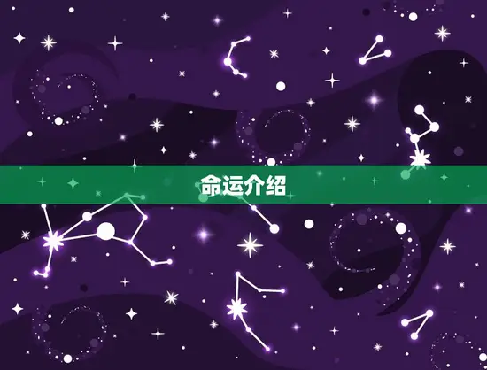 命运介绍 命运介绍