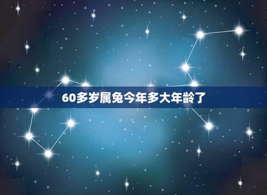 60多岁属兔今年多大年龄了(详解属兔人的命运与运势)