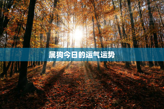 属狗今日的运气运势
