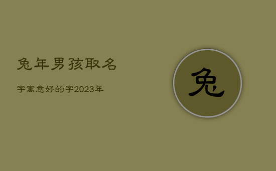 兔年男孩取名字寓意好的字，2023年男孩名字寓意好的名字