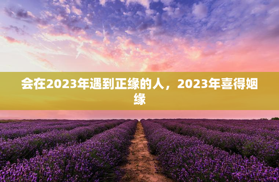会在2023年遇到正缘的人，2023年喜得姻缘