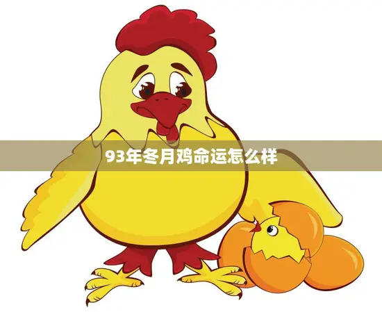 93年冬月鸡命运怎么样(解析财运、事业、感情、健康全面分析)