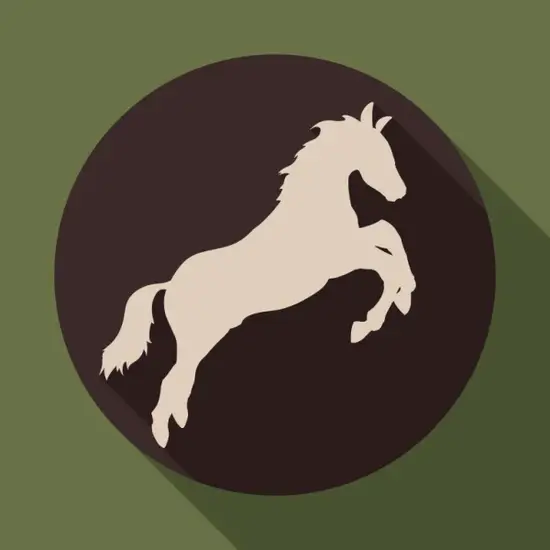 生肖马2025转运指南