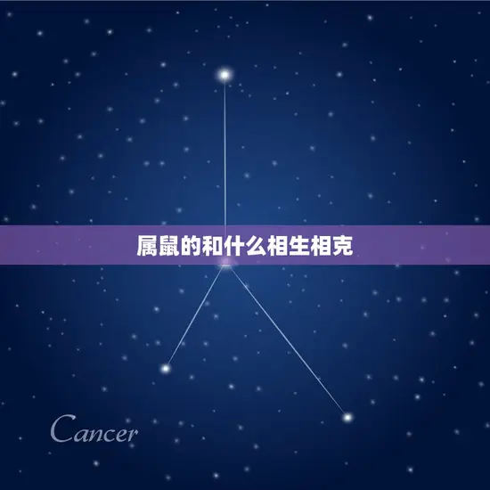 属鼠的和什么相生相克 属鼠的和什么相生相克