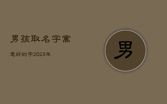 男孩取名字寓意好的字2023年 男孩取名字寓意好的字2023年