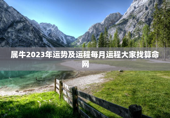 属牛2023年运势及运程每月运程大家找算命网