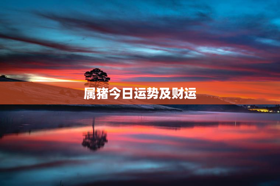 属猪今日运势及财运