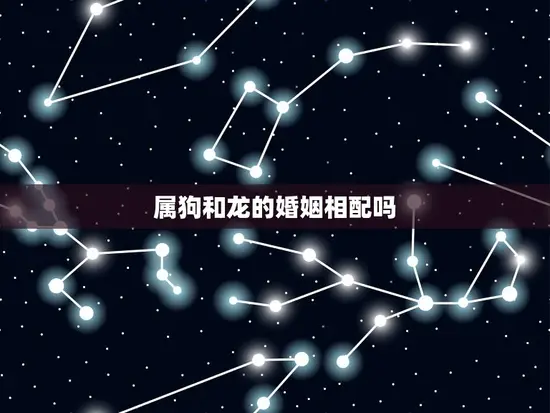 属狗和龙的婚姻相配吗