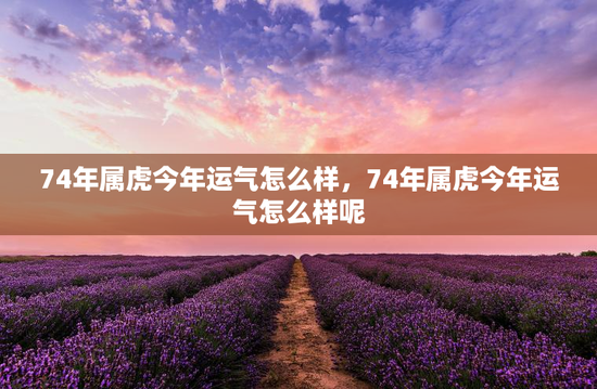 74年属虎今年运气怎么样,74年属虎今年运气怎么样呢 74年属虎今年运气怎么样,74年属虎今年运气怎么样呢
