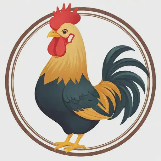 鸡的生肖与什么生肖最合适的,鸡配什么属相最好 鸡的生肖与什么生肖最合适的,鸡配什么属相最好