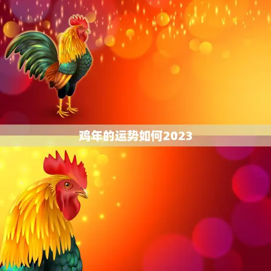 鸡年的运势如何2023(预测财运亨通事业顺利爱情甜蜜)