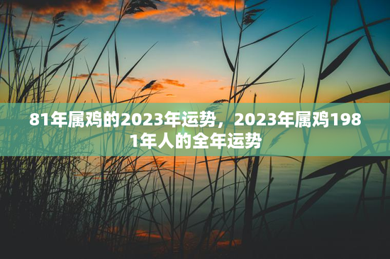 81年属鸡的2023年运势，2023年属鸡1981年人的全年运势