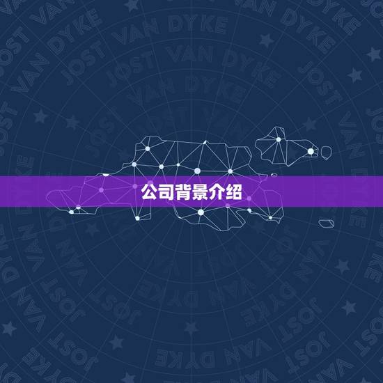 公司背景介绍