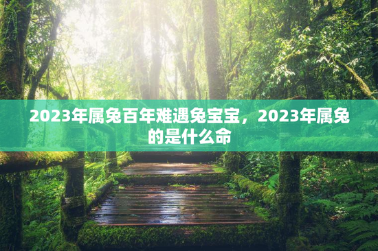 2023年属兔百年难遇兔宝宝,2023年属兔的是什么命 2023年属兔百年难遇兔宝宝,2023年属兔的是什么命