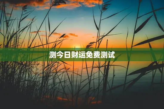 测今日财运免费测试 测今日财运免费测试