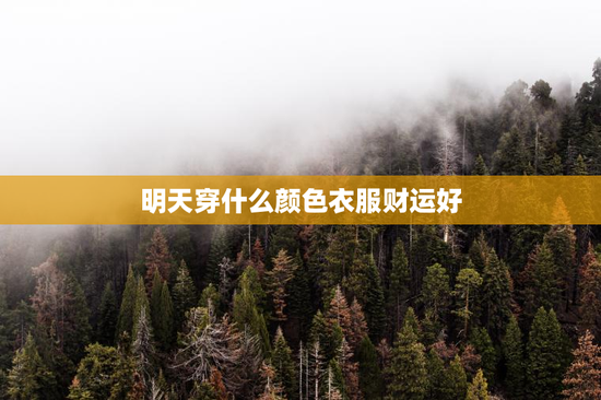 明天穿什么颜色衣服财运好