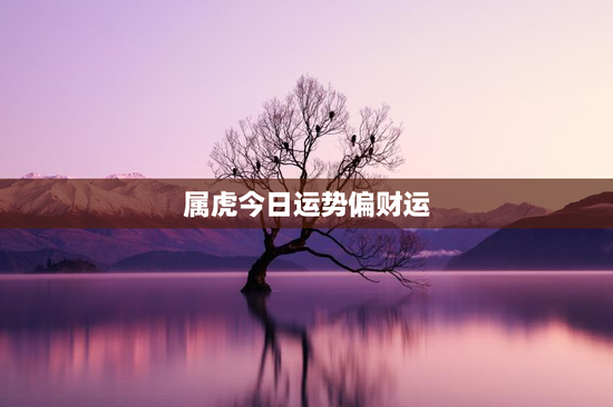 属虎今日运势偏财运