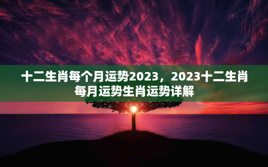 十二生肖每个月运势2023，2023十二生肖每月运势生肖运势详解