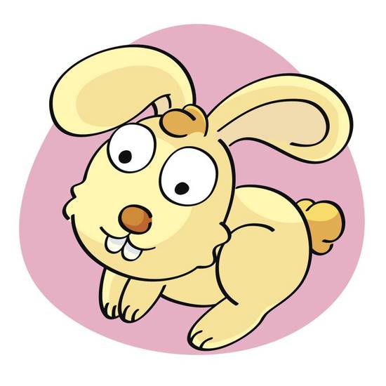 属兔最佳婚配是哪些生肖(完美匹配幸福长存)