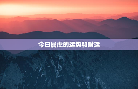 今日属虎的运势和财运