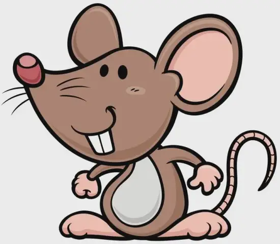 十二生肖今日财运解析：避开破财雷区必看