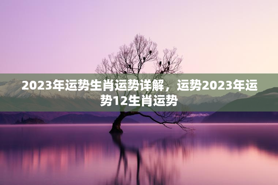 2023年运势生肖运势详解，运势2023年运势12生肖运势
