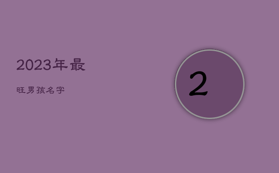 2023年最旺男孩名字