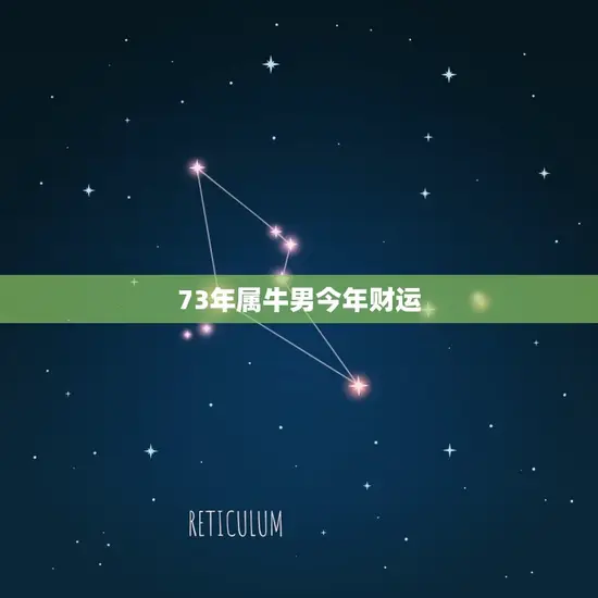 73年属牛男今年财运