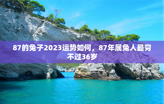 87的兔子2023运势如何，87年属兔人最穷不过36岁