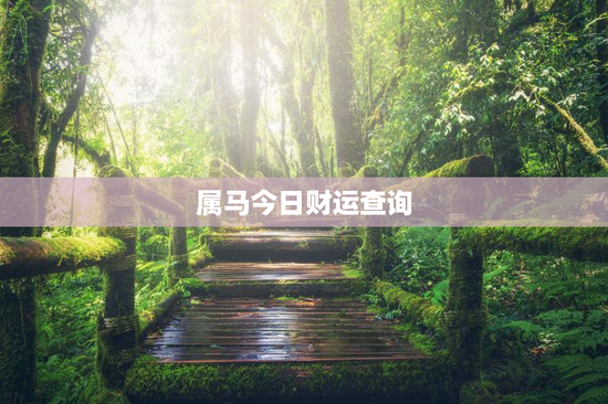 属马今日财运查询