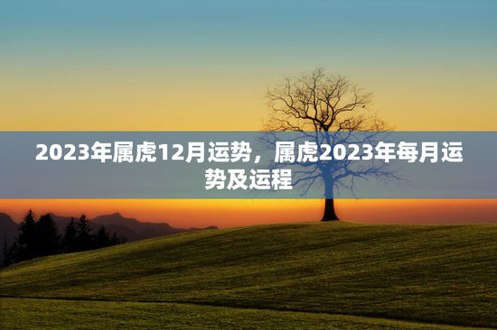 2023年属虎12月运势,属虎2023年每月运势及运程 2023年属虎12月运势,属虎2023年每月运势及运程
