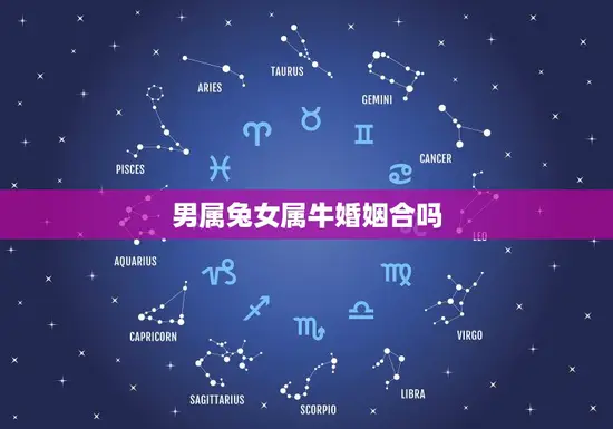 男属兔女属牛婚姻合吗 男属兔女属牛婚姻合吗