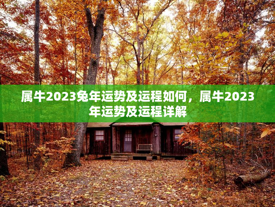 属牛2023兔年运势及运程如何，属牛2023年运势及运程详解