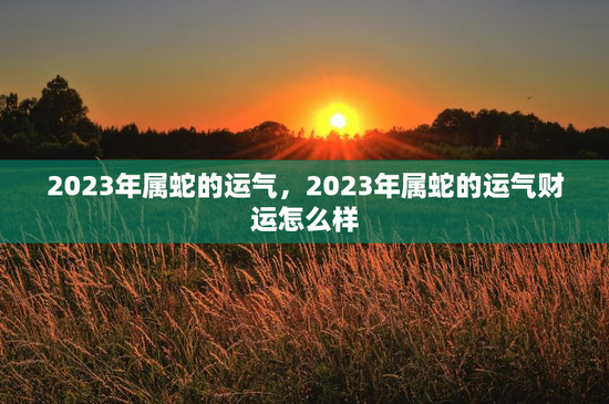 2023年属蛇的运气，2023年属蛇的运气财运怎么样