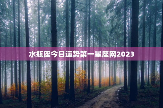 水瓶座今日运势第一星座网2023