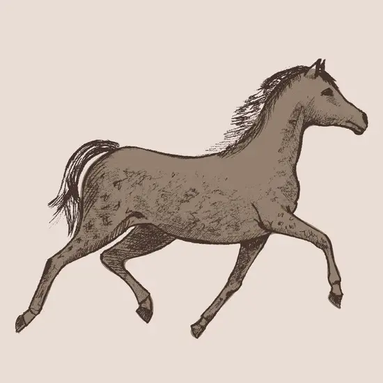 属羊女和马相配婚姻如何(幸福美满的秘诀) 属羊女和马相配婚姻如何(幸福美满的秘诀)