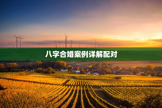 八字合婚案例详解配对，八字合婚命理