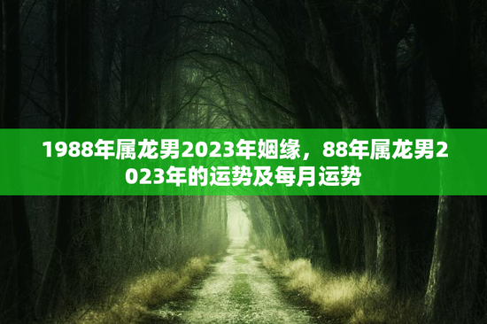 1988年属龙男2023年姻缘,88年属龙男2023年的运势及每月运势 1988年属龙男2023年姻缘,88年属龙男2023年的运势及每月运势