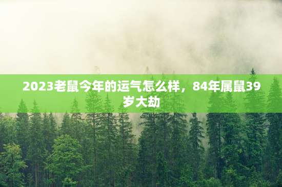 2023老鼠今年的运气怎么样，84年属鼠39岁大劫