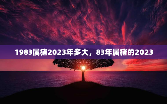 1983属猪2023年多大，83年属猪的2023