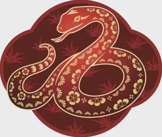 生肖蛇心脏结构解析