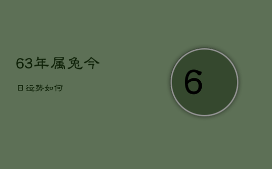 63年属兔今日运势如何