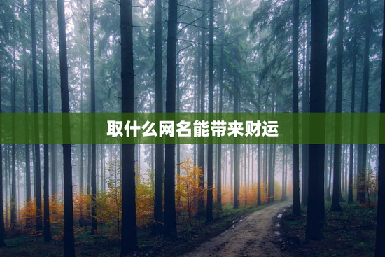 取什么网名能带来财运 取什么网名能带来财运