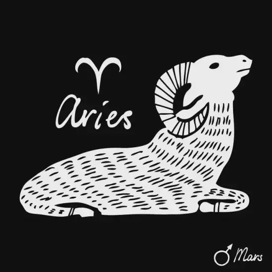 白羊座交界日性格解析