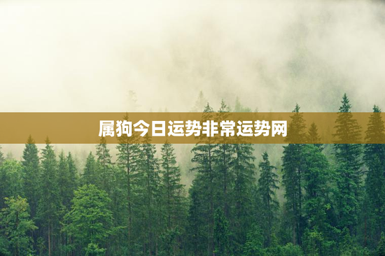 属狗今日运势非常运势网