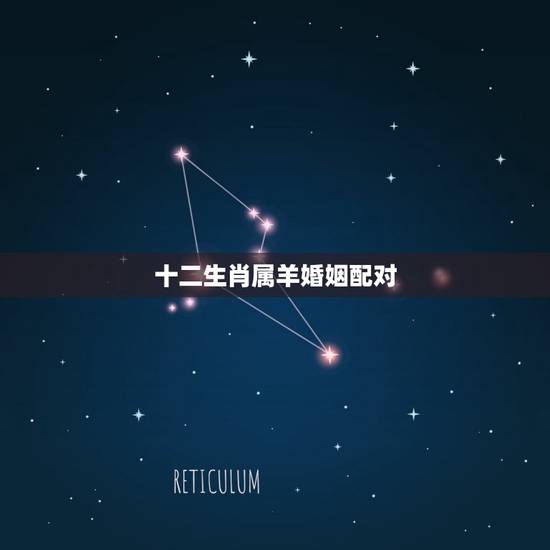 十二生肖属羊婚姻配对(羊婚姻匹配指南) 十二生肖属羊婚姻配对(羊婚姻匹配指南)