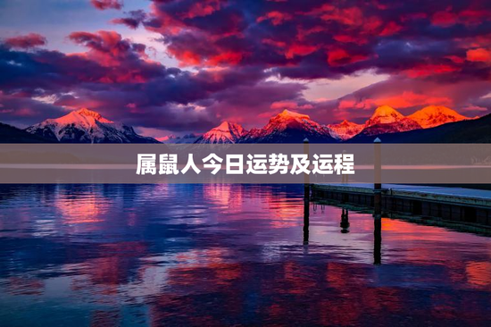 属鼠人今日运势及运程