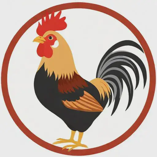 鸡的生肖与什么生肖最合适的,鸡配什么属相最好 鸡的生肖与什么生肖最合适的,鸡配什么属相最好