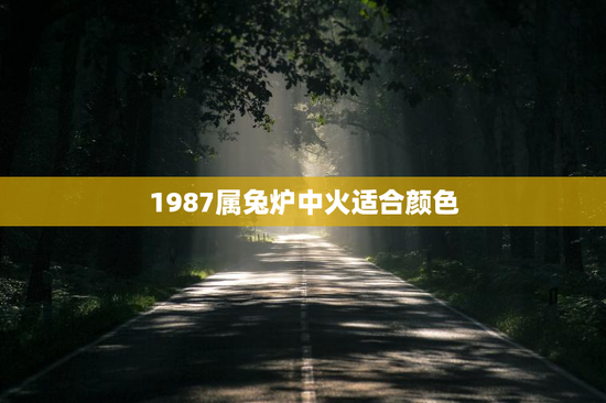 1987属兔炉中火适合颜色